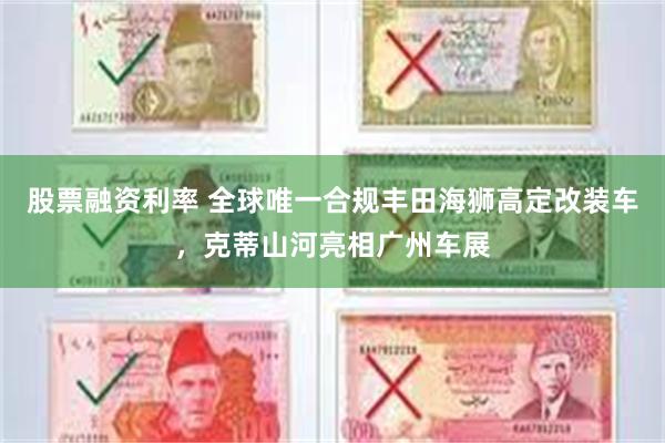 股票融资利率 全球唯一合规丰田海狮高定改装车，克蒂山河亮相广州车展