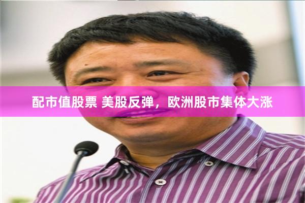 配市值股票 美股反弹，欧洲股市集体大涨