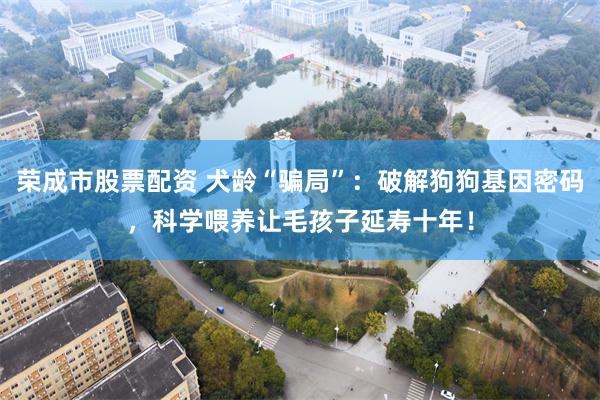 荣成市股票配资 犬龄“骗局”：破解狗狗基因密码，科学喂养让毛孩子延寿十年！