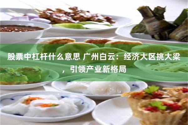股票中杠杆什么意思 广州白云：经济大区挑大梁，引领产业新格局