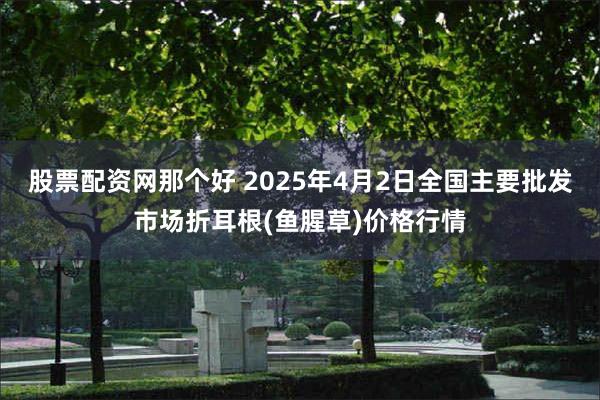 股票配资网那个好 2025年4月2日全国主要批发市场折耳根(鱼腥草)价格行情