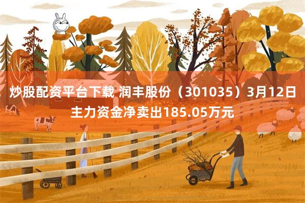 炒股配资平台下载 润丰股份（301035）3月12日主力资金净卖出185.05万元