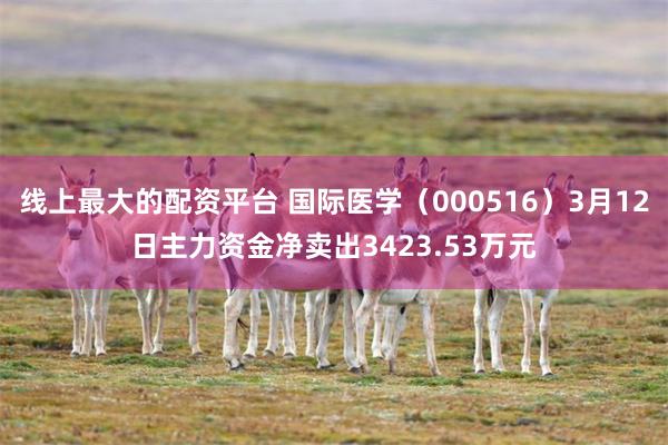 线上最大的配资平台 国际医学（000516）3月12日主力资金净卖出3423.53万元