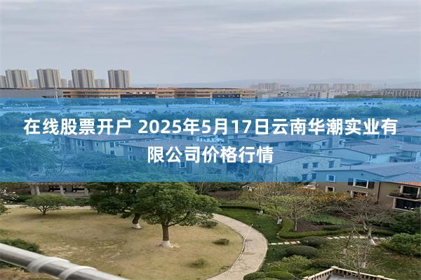 在线股票开户 2025年5月17日云南华潮实业有限公司价格行情