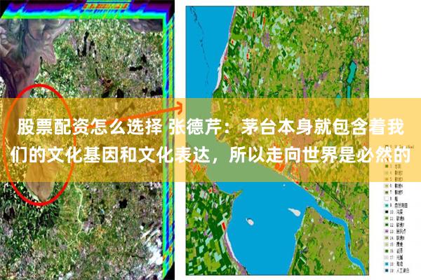 股票配资怎么选择 张德芹：茅台本身就包含着我们的文化基因和文化表达，所以走向世界是必然的