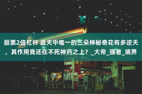 股票2倍杠杆 遮天中唯一的三朵神秘奇花有多逆天，其作用竟还在不死神药之上？_大帝_强者_境界