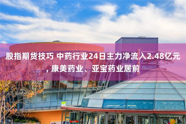 股指期货技巧 中药行业24日主力净流入2.48亿元, 康美药业、亚宝药业居前
