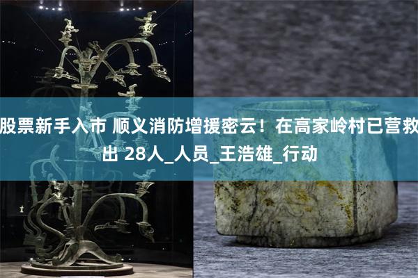 股票新手入市 顺义消防增援密云！在高家岭村已营救出 28人_人员_王浩雄_行动