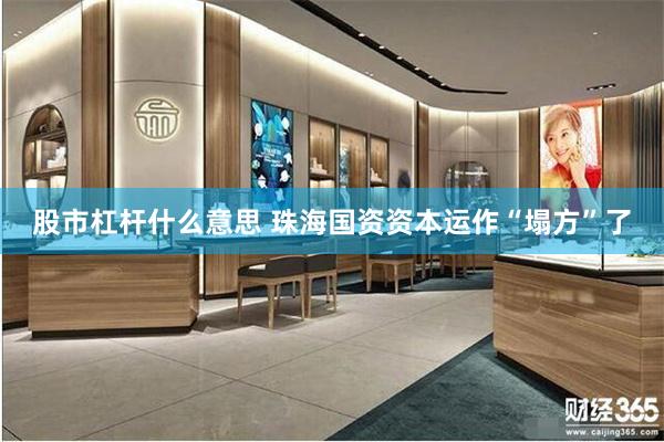 股市杠杆什么意思 珠海国资资本运作“塌方”了